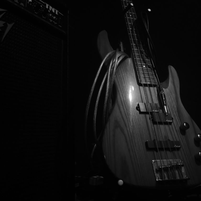 Aria Bass Guitar Pro 2